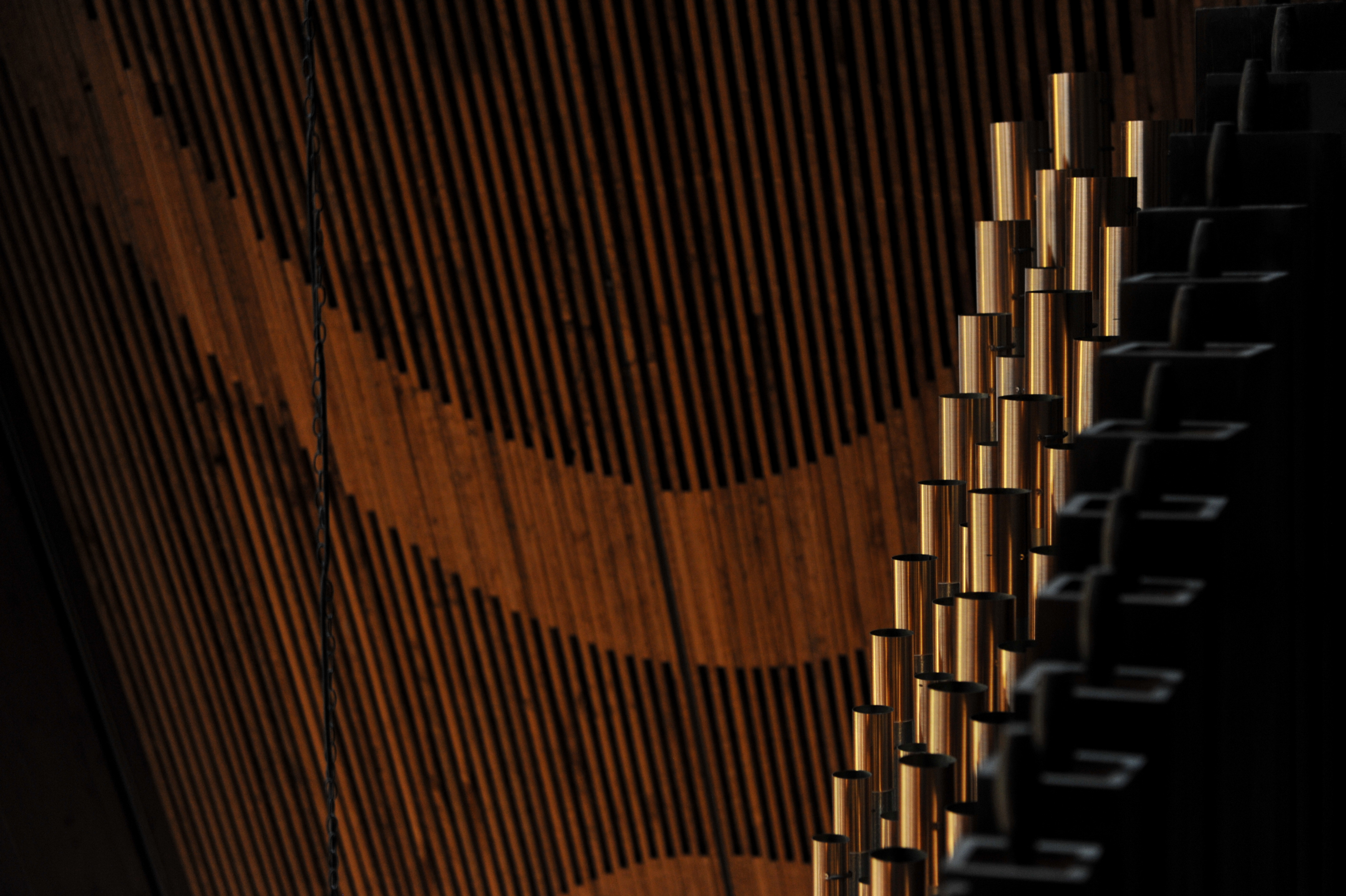 An architectural photograph from the organ loft of Trinity Lutheran Church. In the foreground, warm light catches polished brass pipes from the Wicks 10-rank organ, their sheen contrasting with deep shadows. The background features rhythmic wooden ceiling battens curving along the A-frame roof, blending musical craft with mid-century modern design.